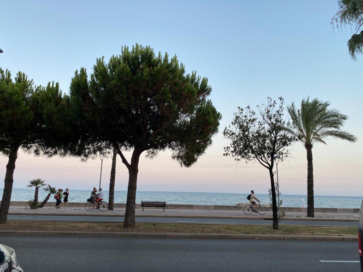 Coquet Logement Front De Mer Cagnes-sur-Mer Exteriör bild